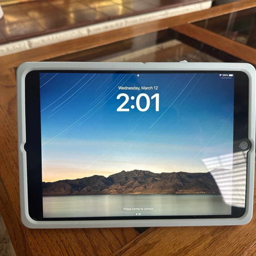 Apple iPad with Gray Case